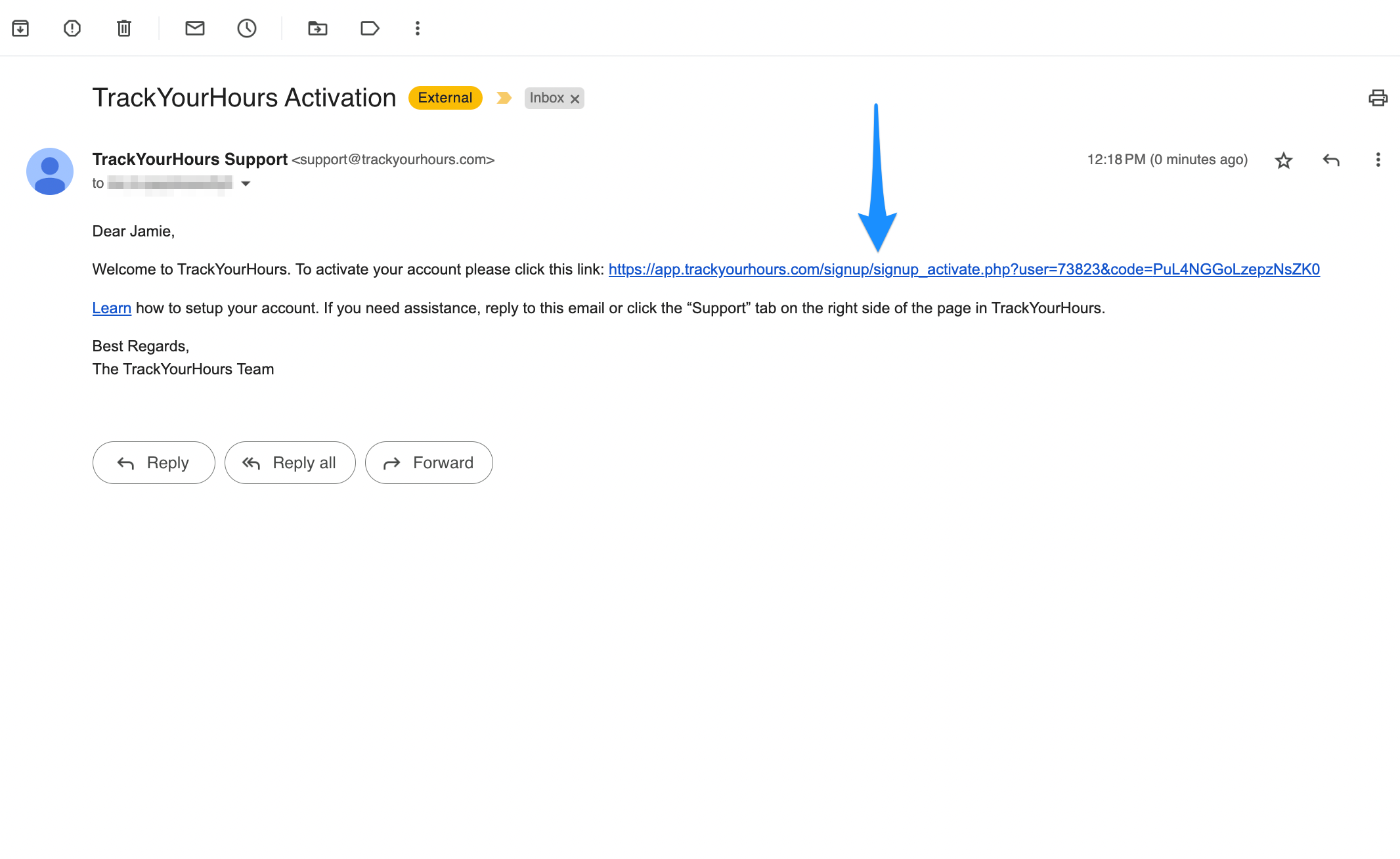 activationemail.trackyourhours.activateaccount.png